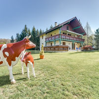 Chalet Valaisan
