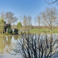 Etang avec cabane perchée sur l'île