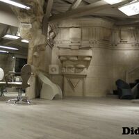 Didact Hair Building
