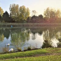 Le Garden