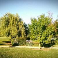 Domaine de l'Eolienne