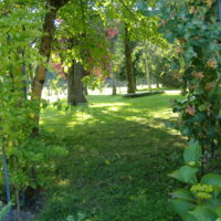 Le jardin