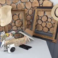 Les Murmures du Lignon