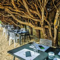 Restaurant Les Paillotes