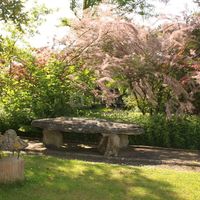 Le Village Gaulois
