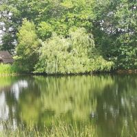 Le lac