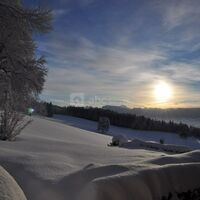Château des Aveniéres