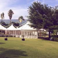 Domaine des Palmiers