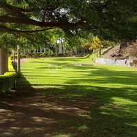 Domaine des Palmiers