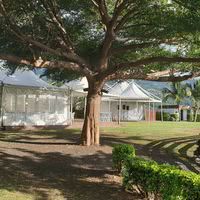 Domaine des Palmiers