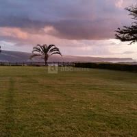 Domaine des Palmiers