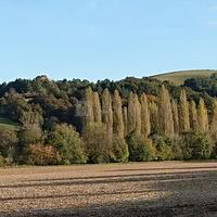 Vue de la campagne