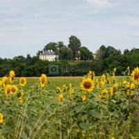 Château de Biscay