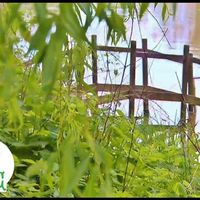 Espace Nature au Creux du Chêne