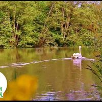 Espace Nature au Creux du Chêne