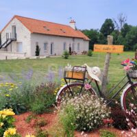 Le Domaine de Scarlett