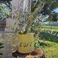 Le Domaine de Scarlett