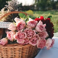Un bouquet sur la pelouse