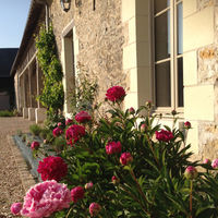 Terrasse gravillonnée