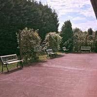 Les Salons des Orchidées