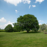Domaine de la Galinière