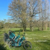 Activité trottinette électrique pour un groupe