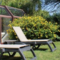 Le jardin de notre piscine