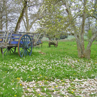 Domaine de la Couture