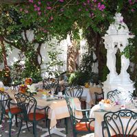 Le Magnolia