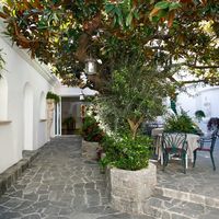 Le Magnolia