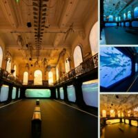 Salle de la Baleine