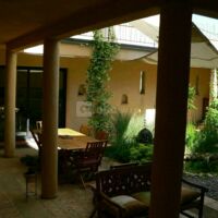 La Grande Oasis