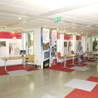 Exposition Stands