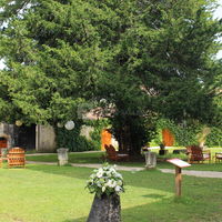 Espace cocktail sous le vieil if