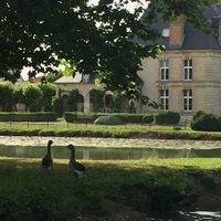 Bords de l'étang du château
