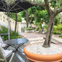 Petit jardin extérieur