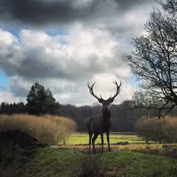 Domaine de Saint Symphorien des Monts