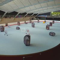 Patinoire - Laser Game