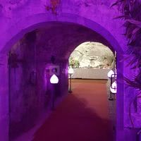 Domaine du Château de la Rive