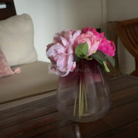 Salon Hibiscus F2