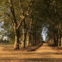 Domaine de Mahourat