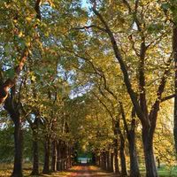 Domaine de Mahourat