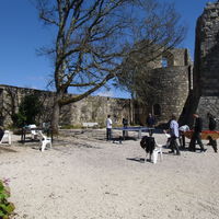 Ping-pong, babyfoot et barbecue