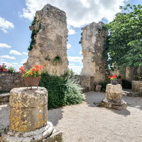 Château de Roussillon