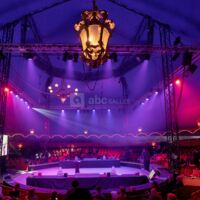 Cirque Théâtre  Bormann