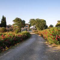 Château Cicéron