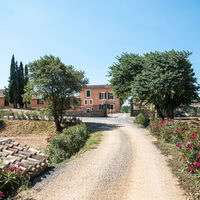 Allée principal