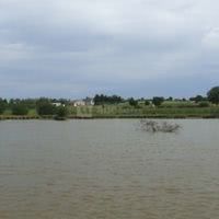 Plan d'eau