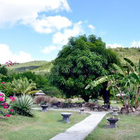 Domaine de la Palmeraie