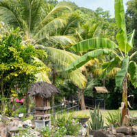 Domaine de la Palmeraie